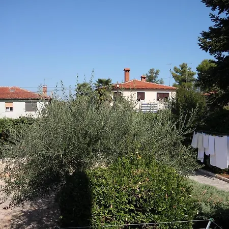 With A Swimming Pool - 3358 Umag